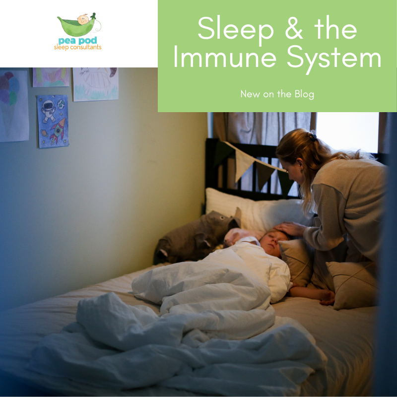 sleep & the immune system social media image